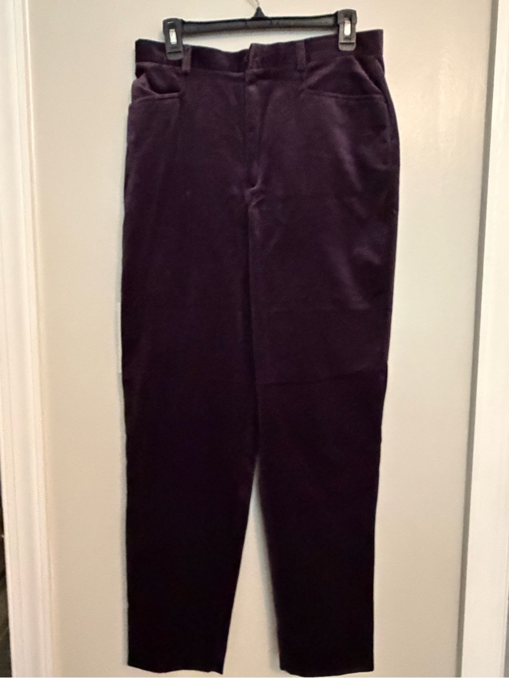 Liz Claiborne plum velveteen women’s pants.